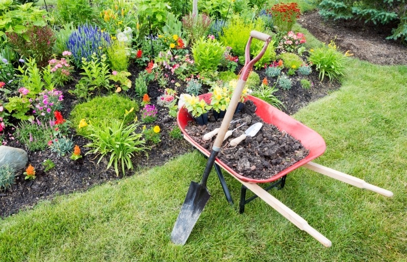work-garden.jpg