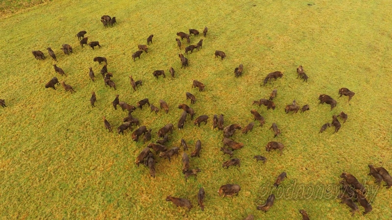 DJI_0872.JPG
