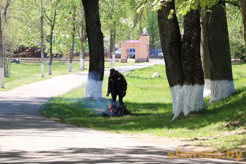 1img_0019.jpg