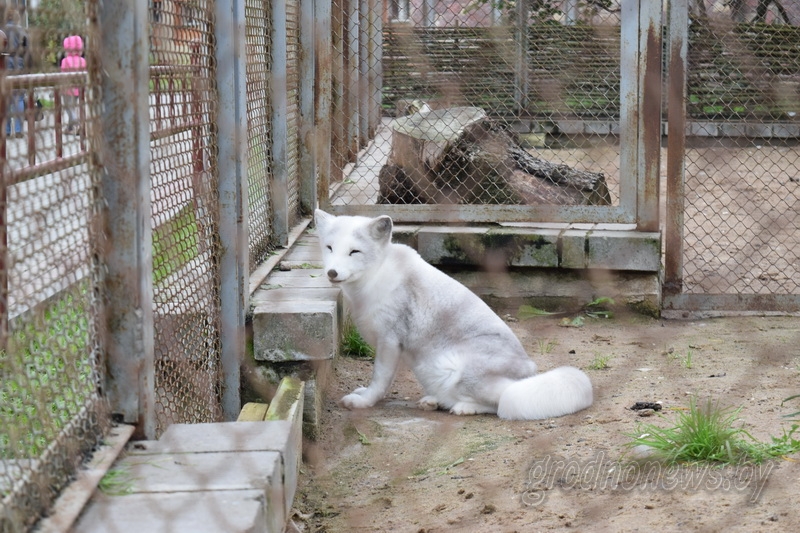 DSC_1849.JPG