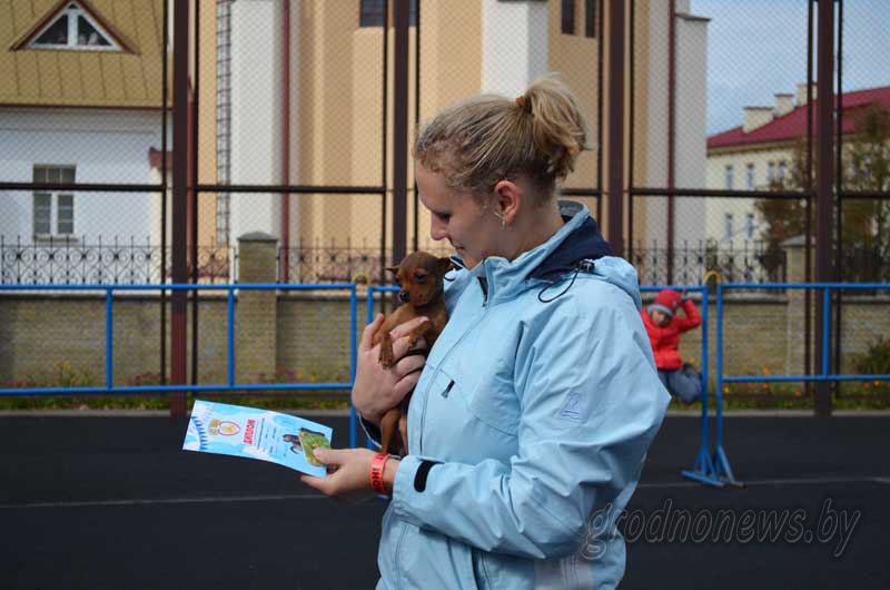 DSC_1120.jpg DSC_1120.jpg