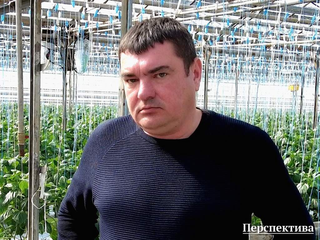 янович.jpg