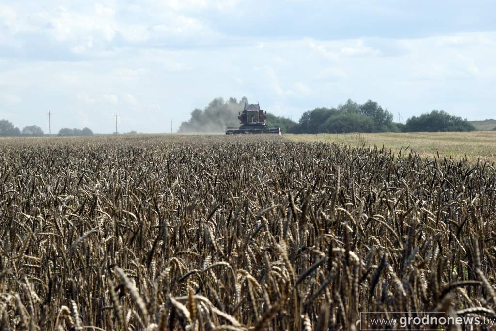 DSC_0898.JPG