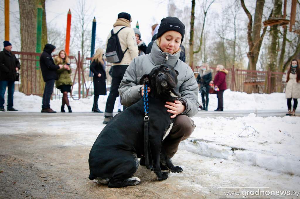 Файл_025.jpg