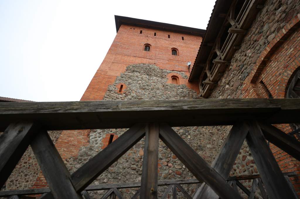239102-16.jpg