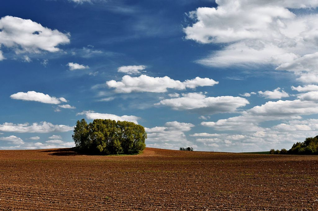 14.DSC_5197.png