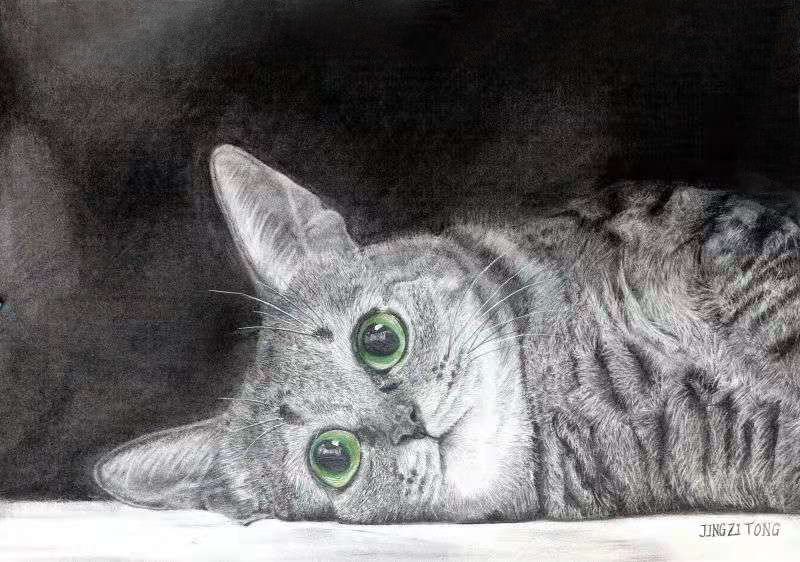 +в¦+=-¦м_20201205104932.png