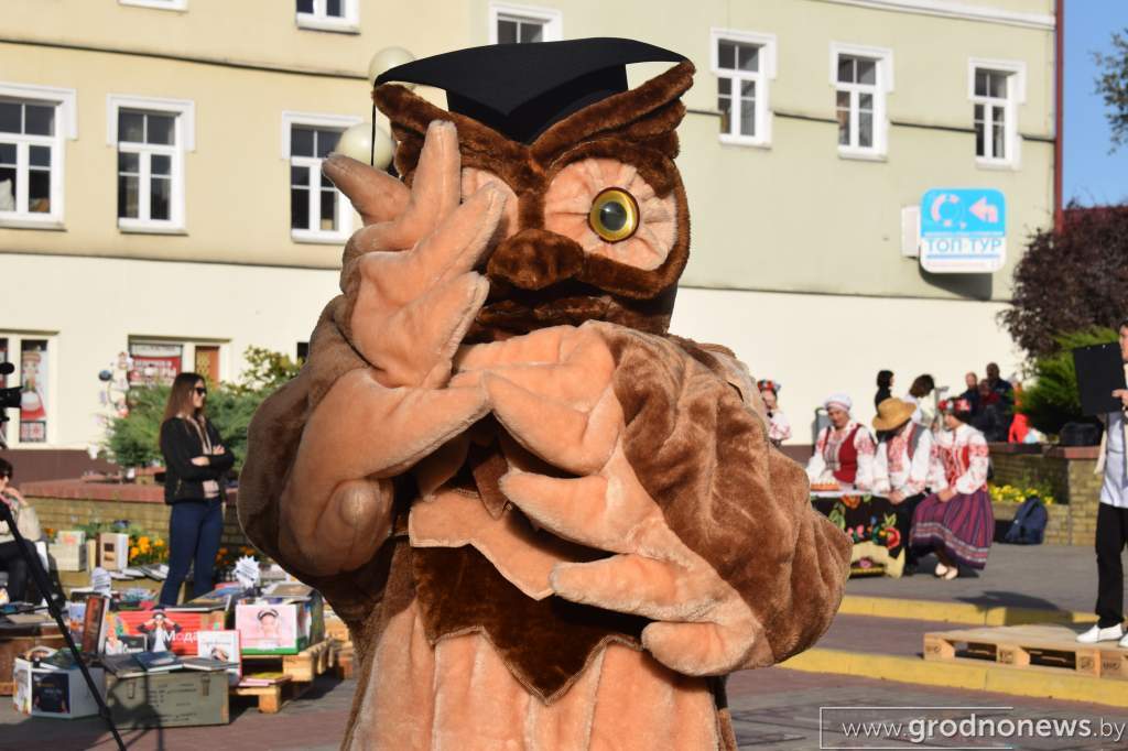 DSC_0380.JPG