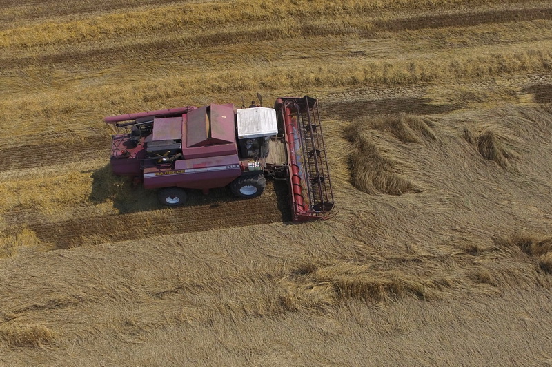 DJI_0174.JPG