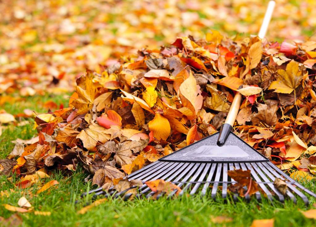 a558b077da429fa95049f77cdf326c5c (1).jpg