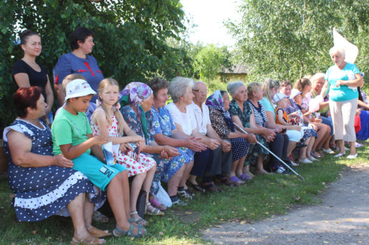домейко-341-530x353.jpg