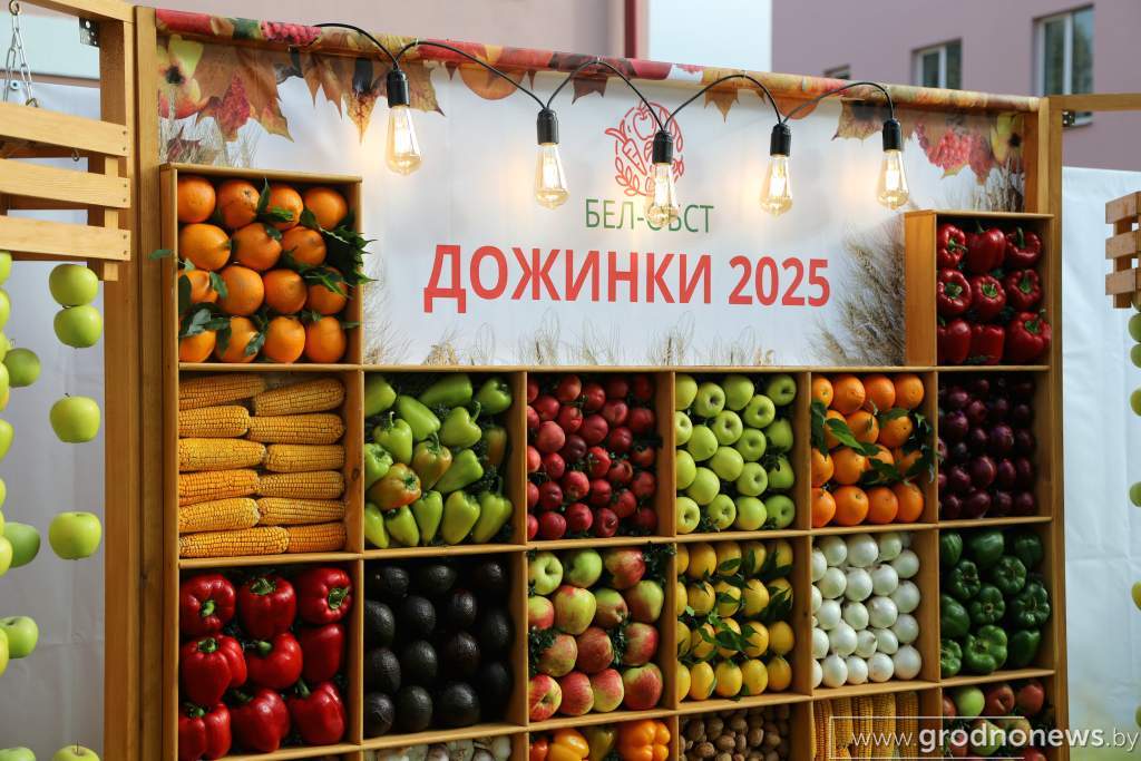 IMG_5545.JPG