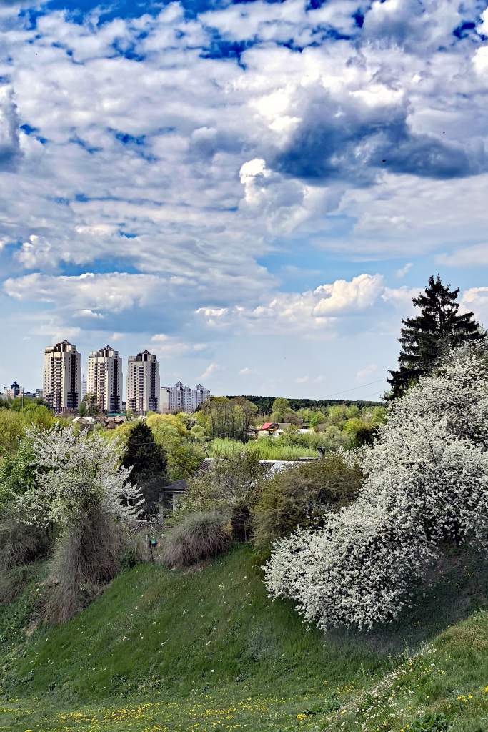 А-3_Самирханова Ольга_IMG_20250422_230020.jpg