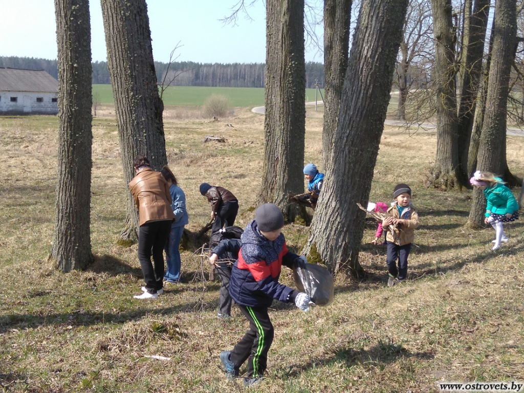 IMG_20180414_120348.jpg