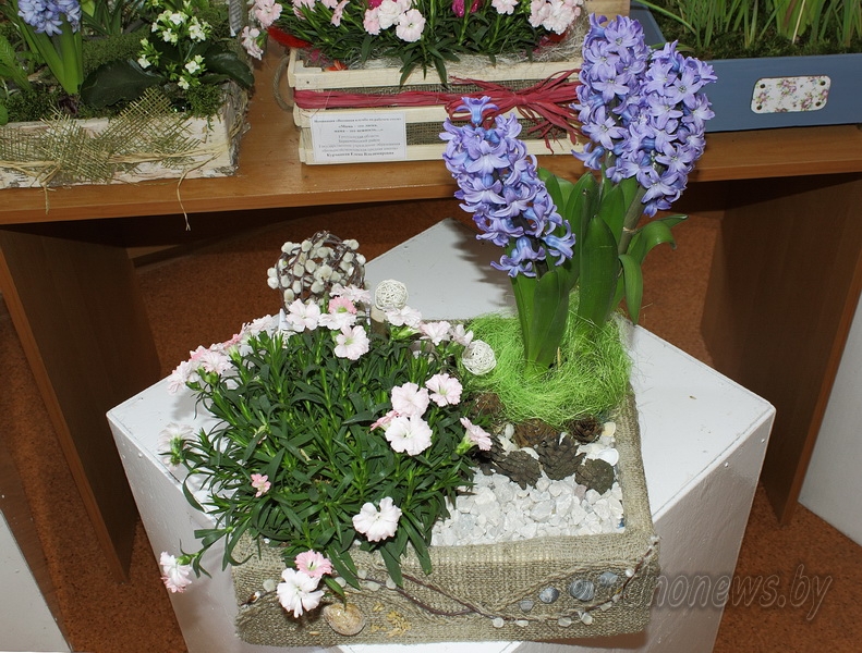 DPP_33306.JPG DPP_33306.JPG