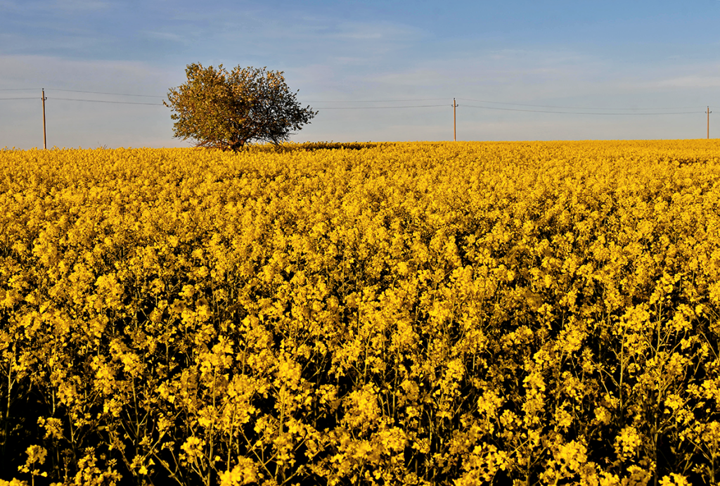 12.DSC_5050.png