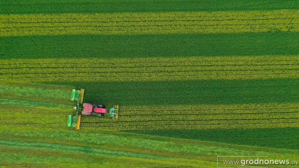DJI_0998.JPG