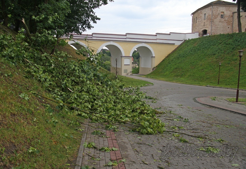 IMG_6672.JPG