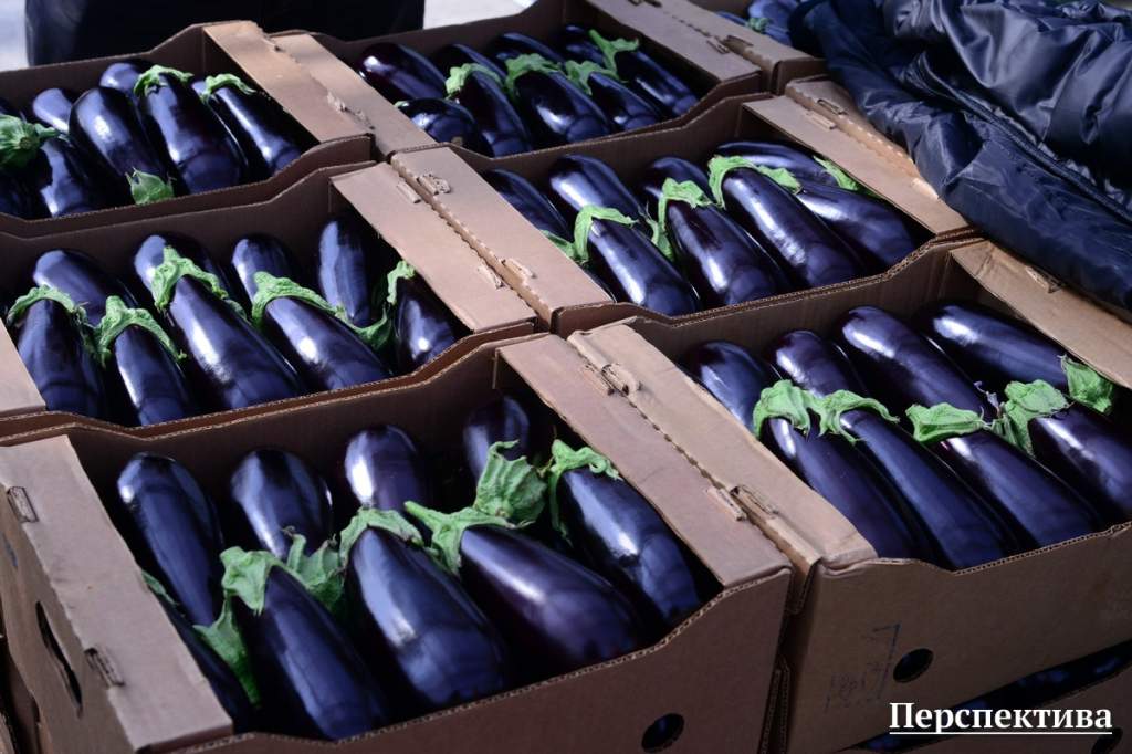eggplant08.jpg