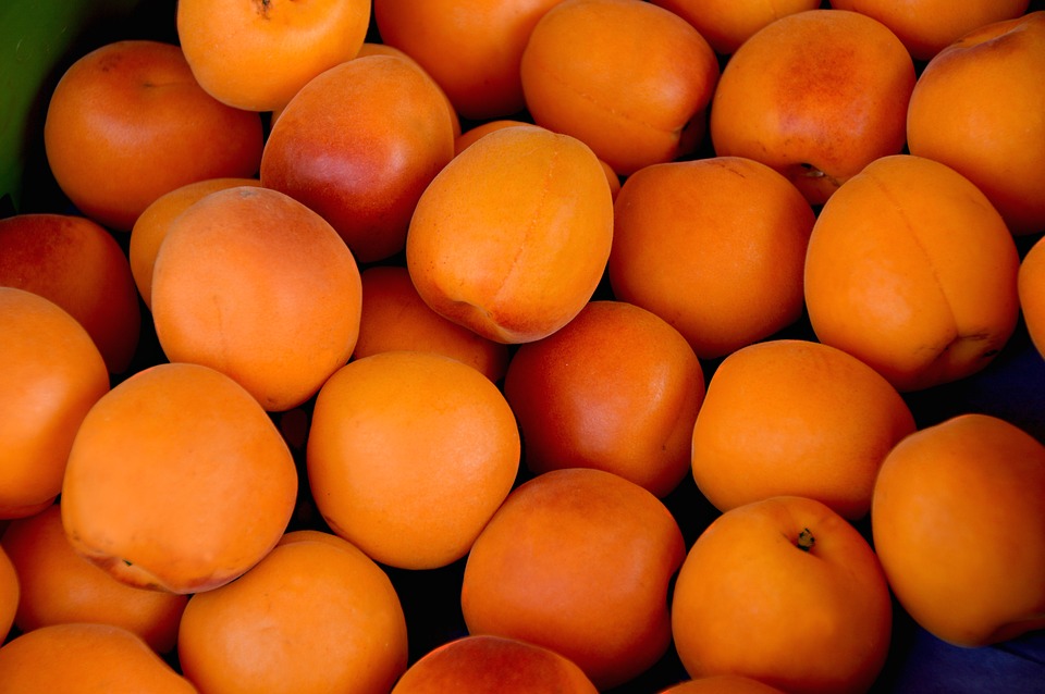 apricots-1509634_960_720.jpg