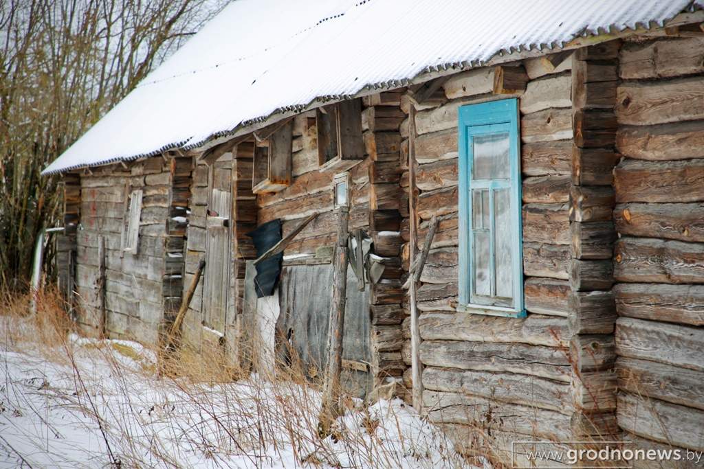 Файл_031.jpeg