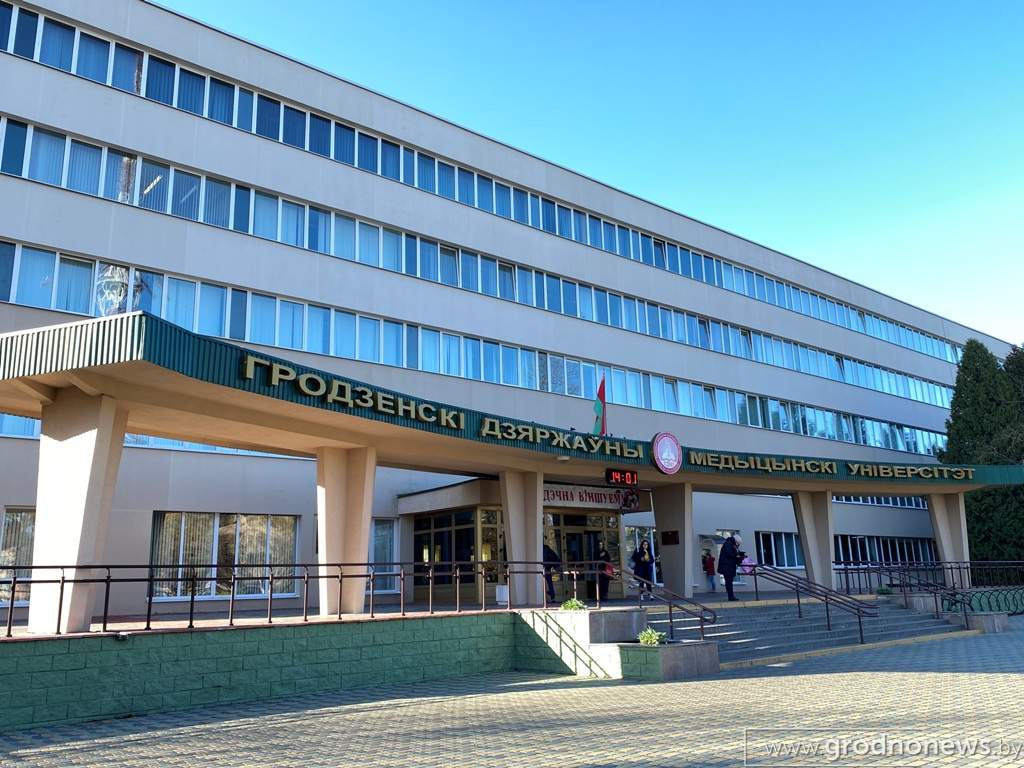 2020-11-09 14.00.24.JPG