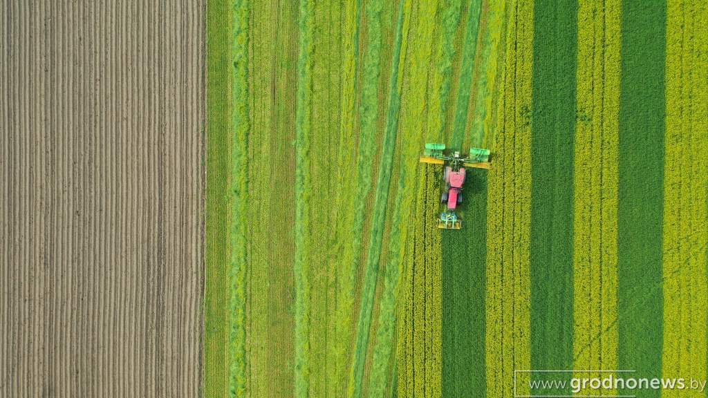 DJI_0993.JPG