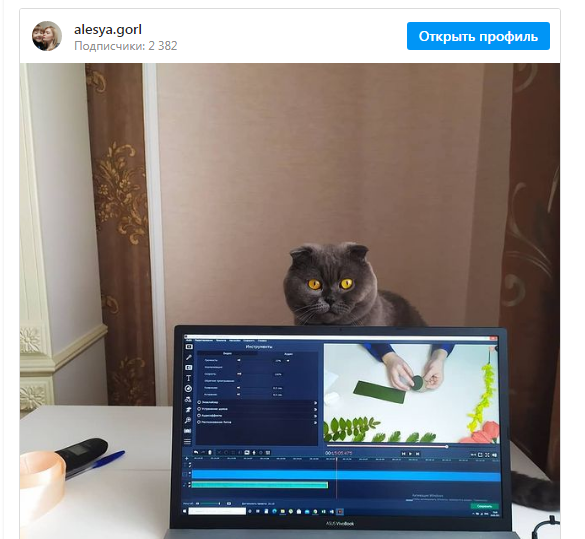 5.PNG