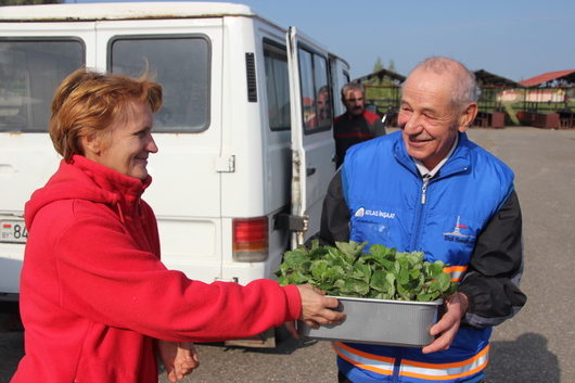 клубника-530x353.jpg клубника-530x353.jpg