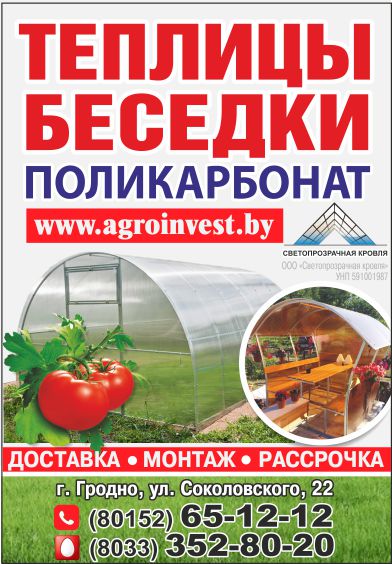 Светопрозрачная кровля_Внутрь.jpg