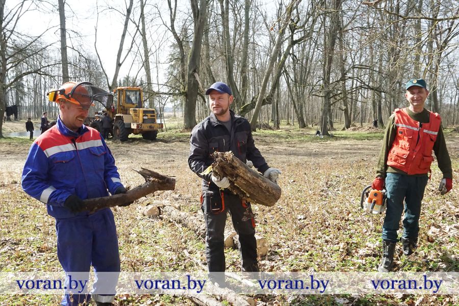 воронов2.jpg