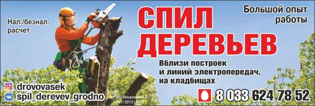 Мицкевич_Спил деревьев_Внутрь.jpg