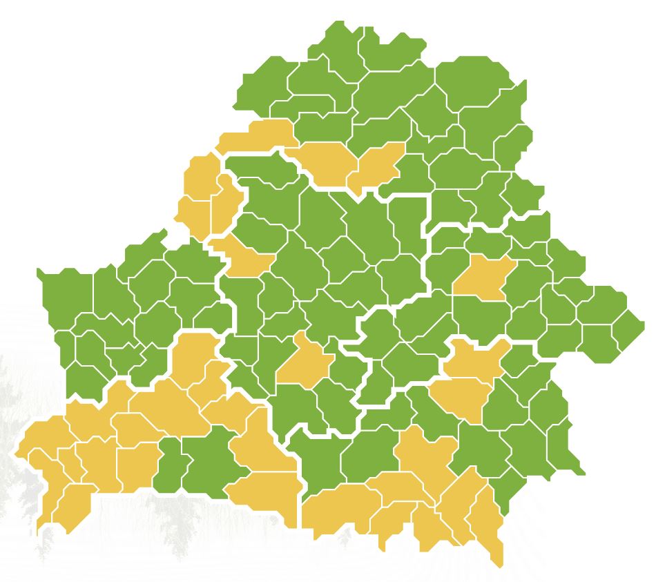выавыа.JPG