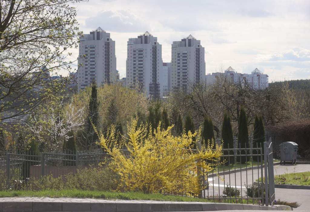 240398-08.jpg