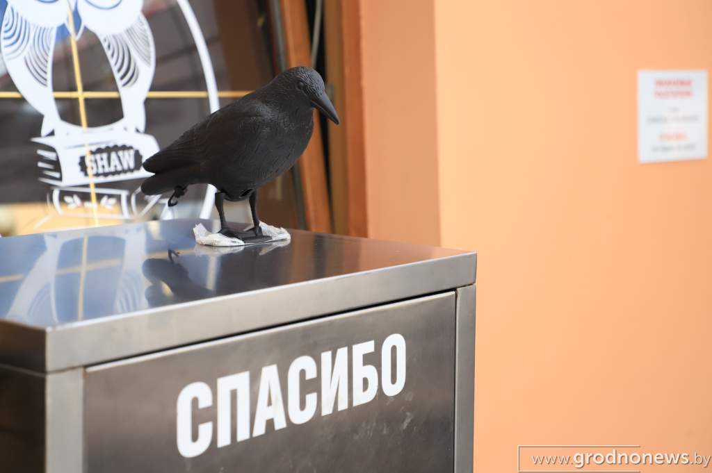 IMG_7815.JPG