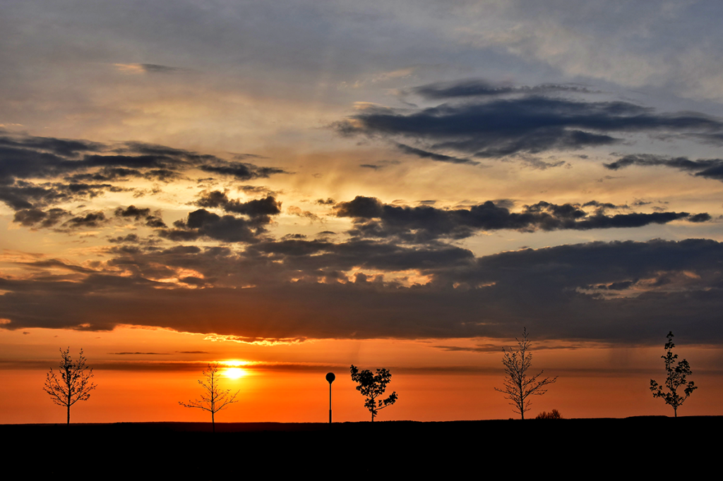 11.DSC_4682.png