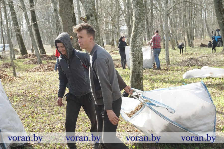 воронов3.jpg