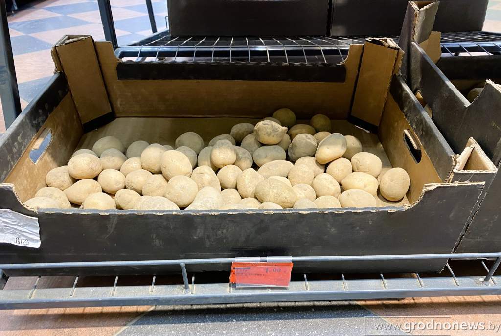 копеечка.JPG
