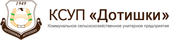 логотип Дотишки.png