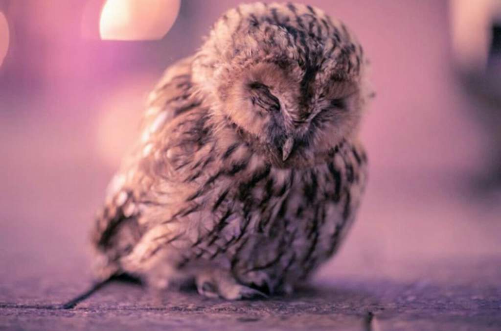изображение_viber_2019-09-26_10-09-26.jpg
