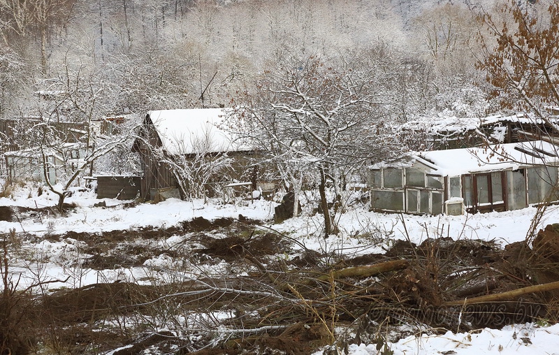 DPP_24890.JPG