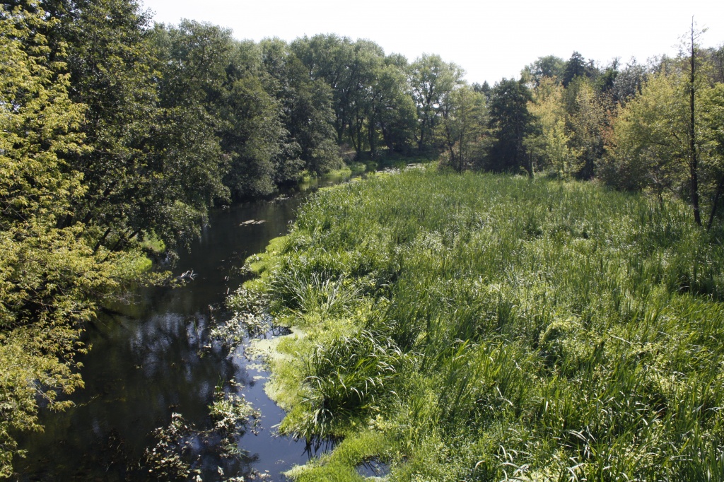_MG_4238.JPG