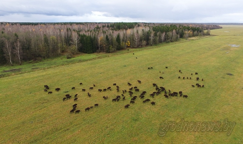 DJI_0864.JPG