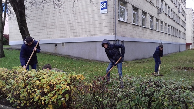колледжттд(3).jpg колледжттд(3).jpg