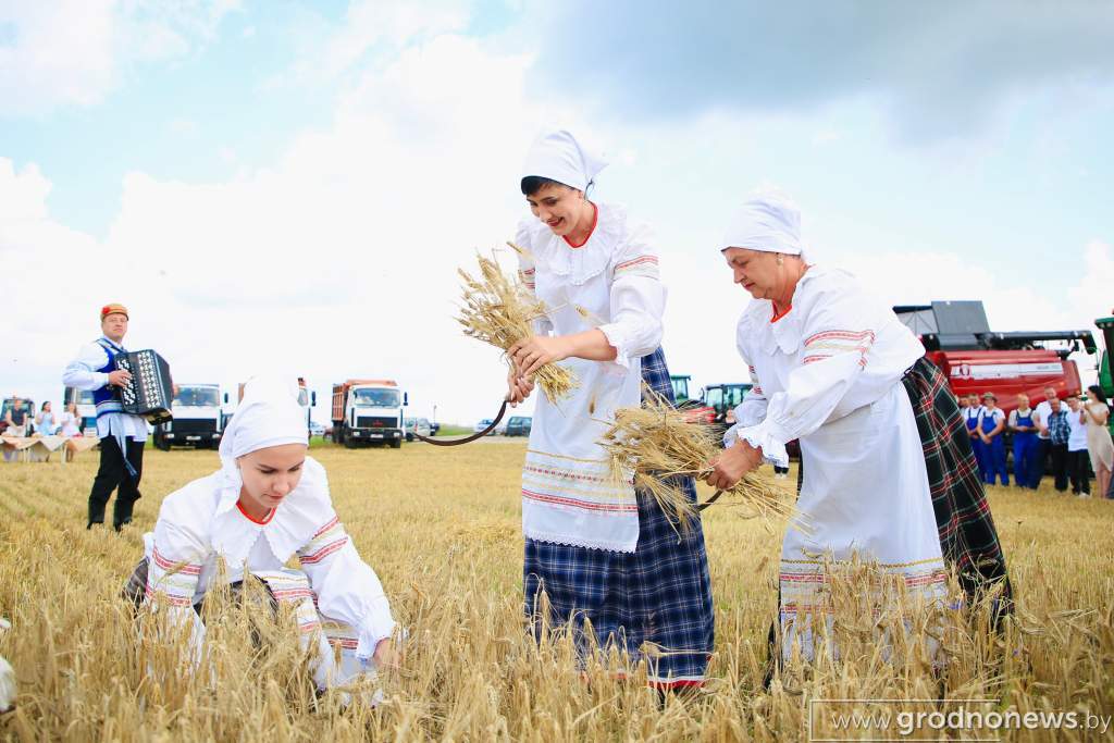 Файл_007.jpg