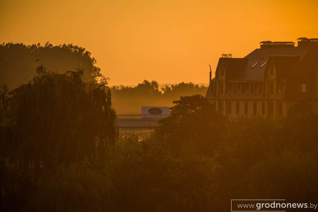 IMG_1870.jpg