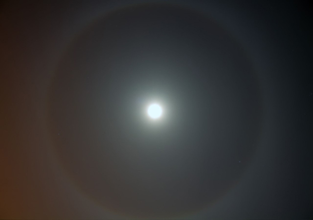 000029_0C2A89EB6284B04F43258242002AD4CE_136218.jpg