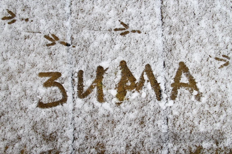 Зима.jpg