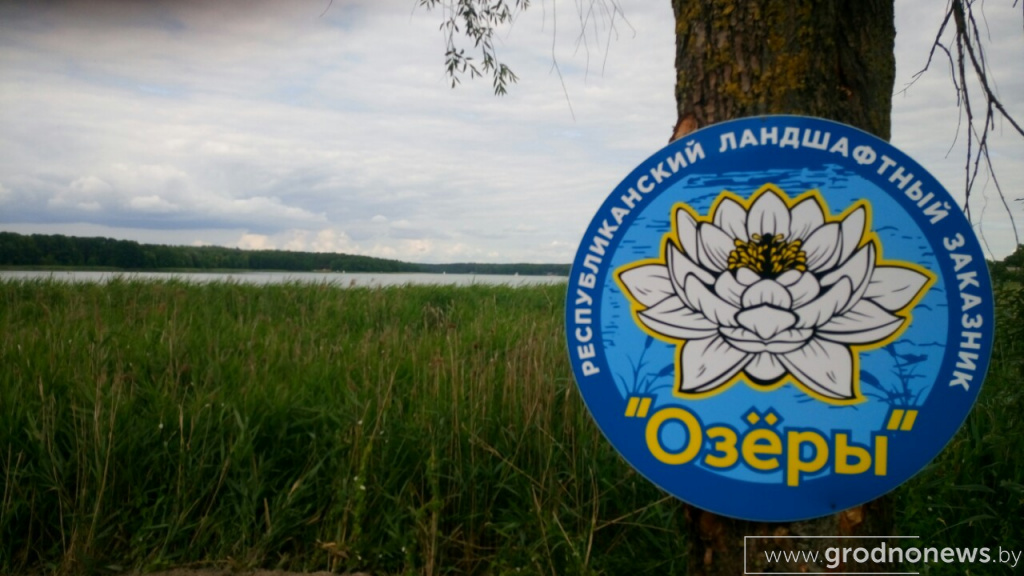 IMG-6e281b6d653e322ee67ff3d739a301ef-V.jpg