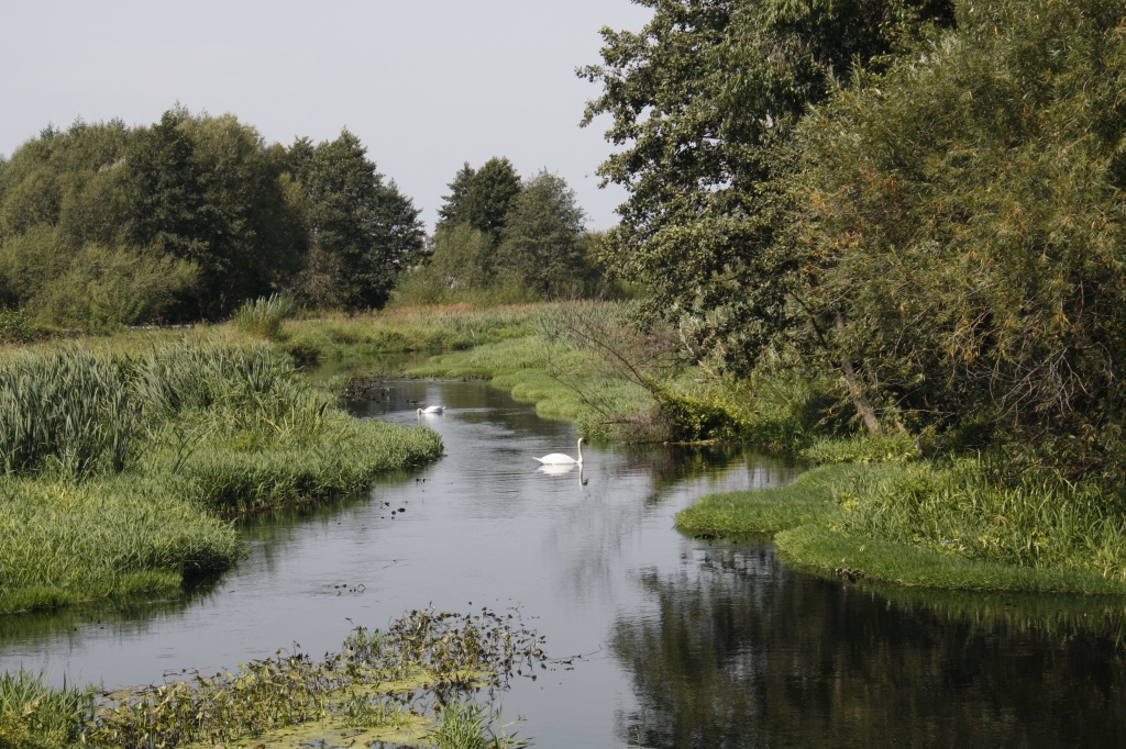 _MG_4250.JPG